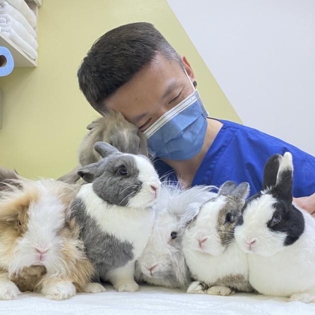 朱哲助 客座醫師